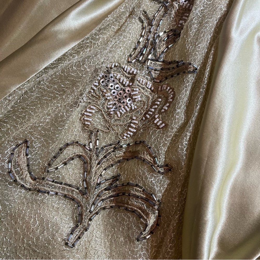 Vintage 100% Silk Beaded Dress Lace Dress Vintage Drop Waist Gown Prom Dress - Picture 7 of 17